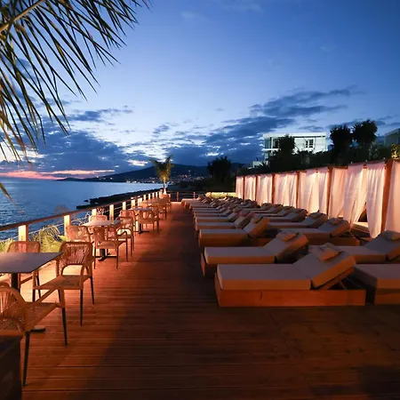 Palmera Prive *